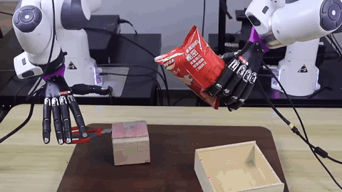 UniDex robot hand control project preview